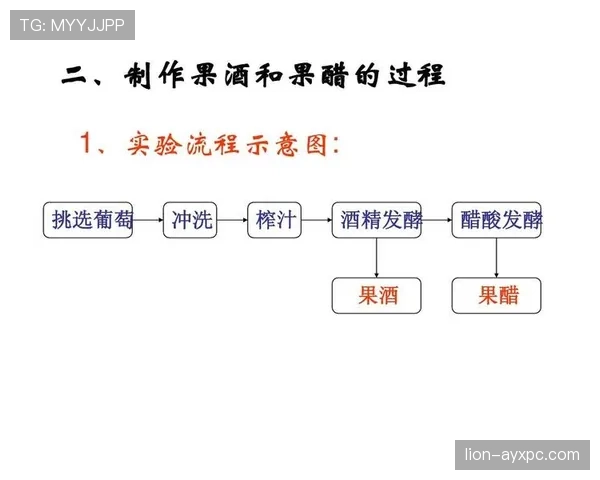 越位旗示意及裁判判罚时机的规则解析